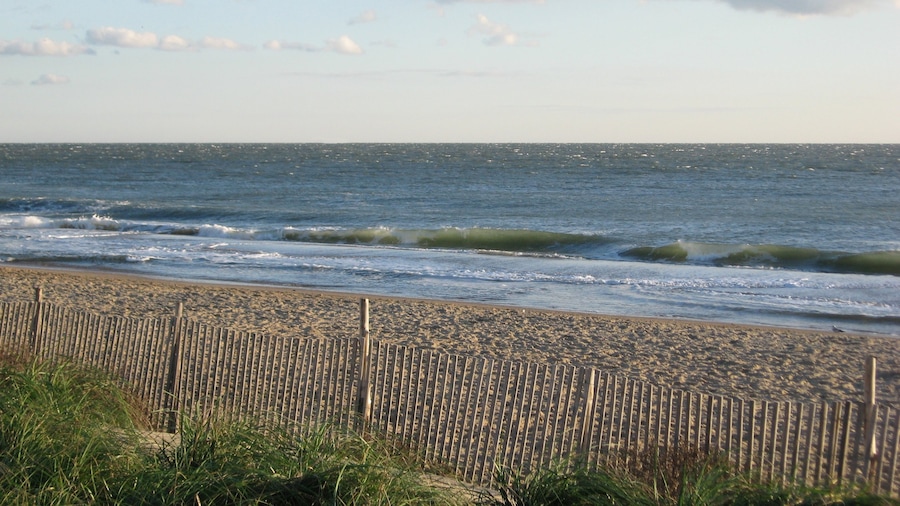 Rehoboth Beach showing a sandy beach