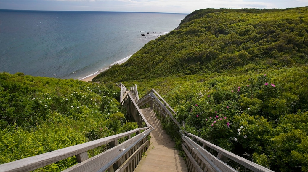 写真提供元 : Block Island Tourism Council