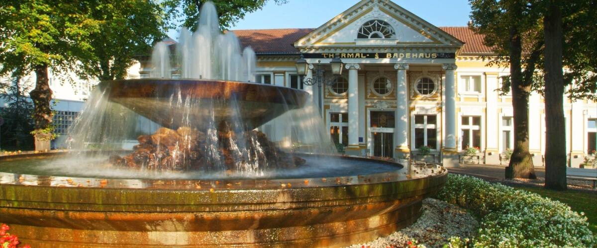 Bad Neuenahr-Ahrweiler featuring a fountain, flowers and a park
