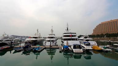 Golden Beach which includes boating and a bay or harbour