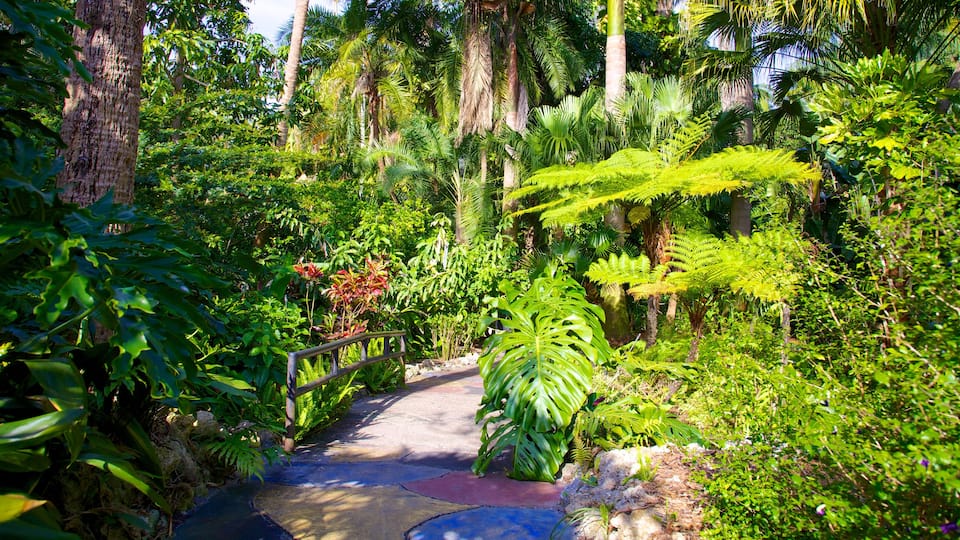 Sunken Gardens featuring a park and forest scenes