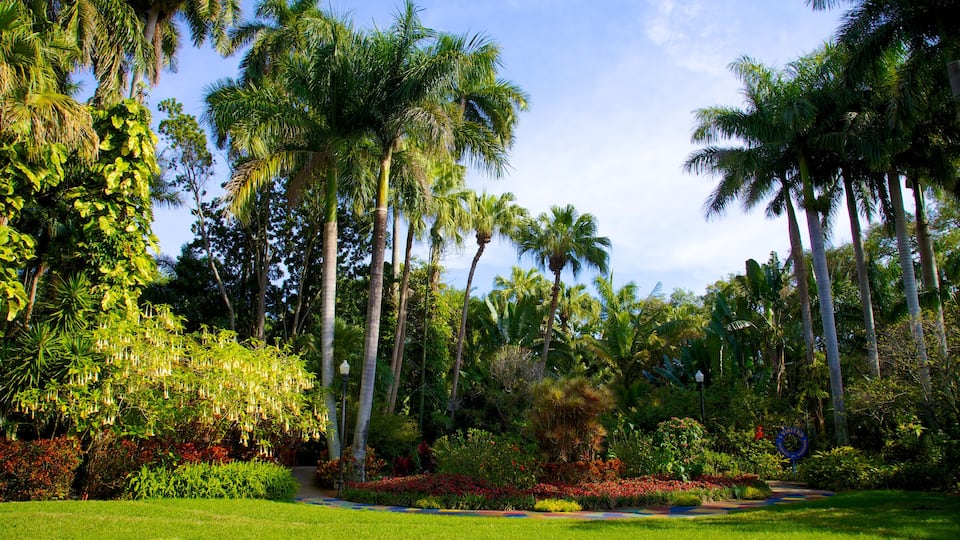Sunken Gardens featuring a garden