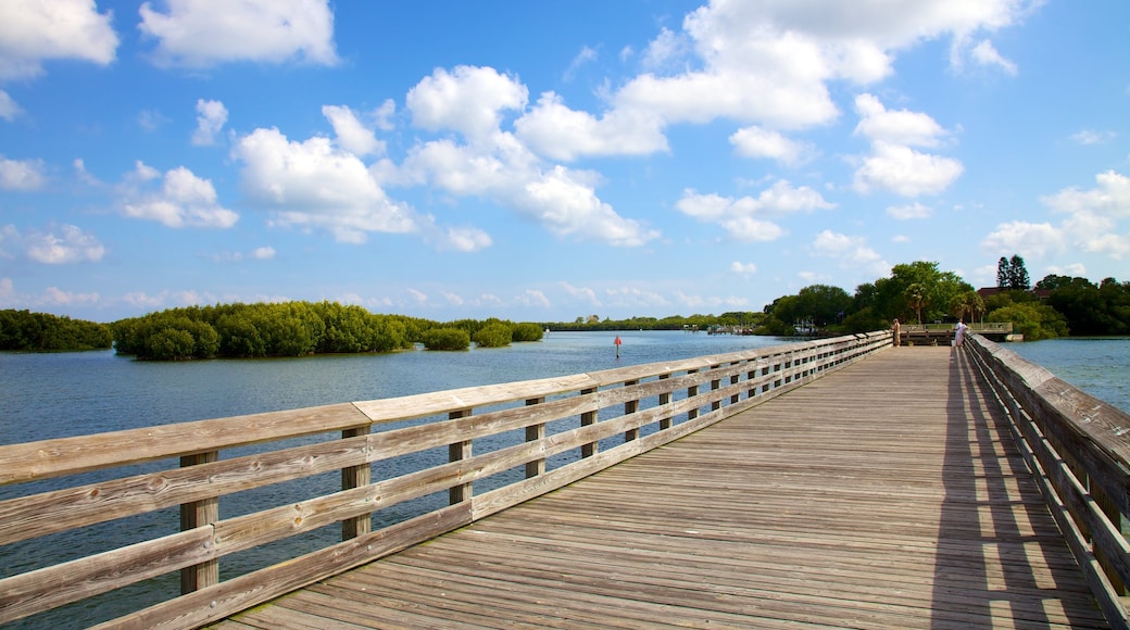 Weedon Island Preserve que inclui uma ponte e imagens da ilha