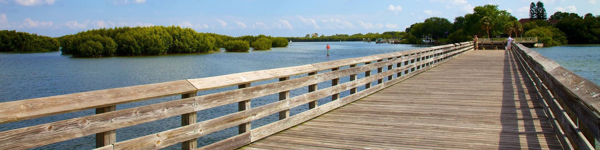 Weedon Island Preserve mit einem Brücke und Inselansicht