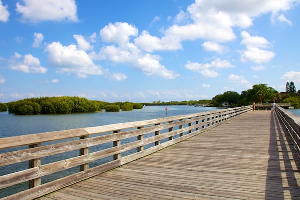 Weedon Island Preserve qui includes vues d\'Ăźle et pont