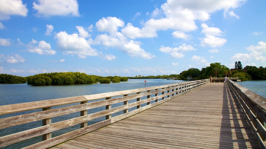 Weedon Island Preserve que inclui uma ponte e imagens da ilha
