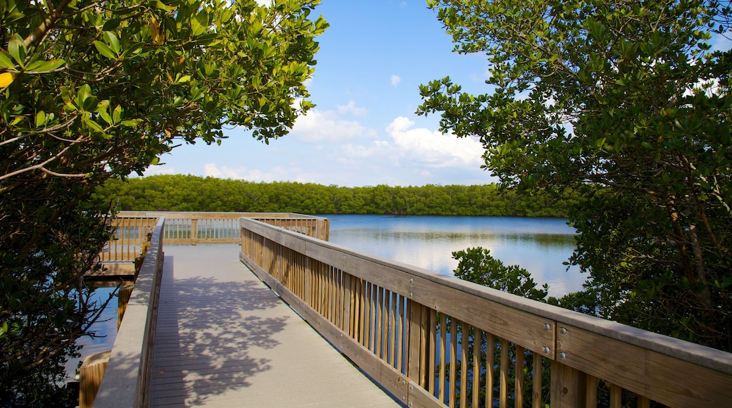 Weedon Island Preserve que incluye un lago o abrevadero