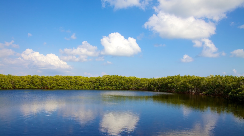 Weedon Island Preserve mostrando vistas de paisajes y escenas forestales