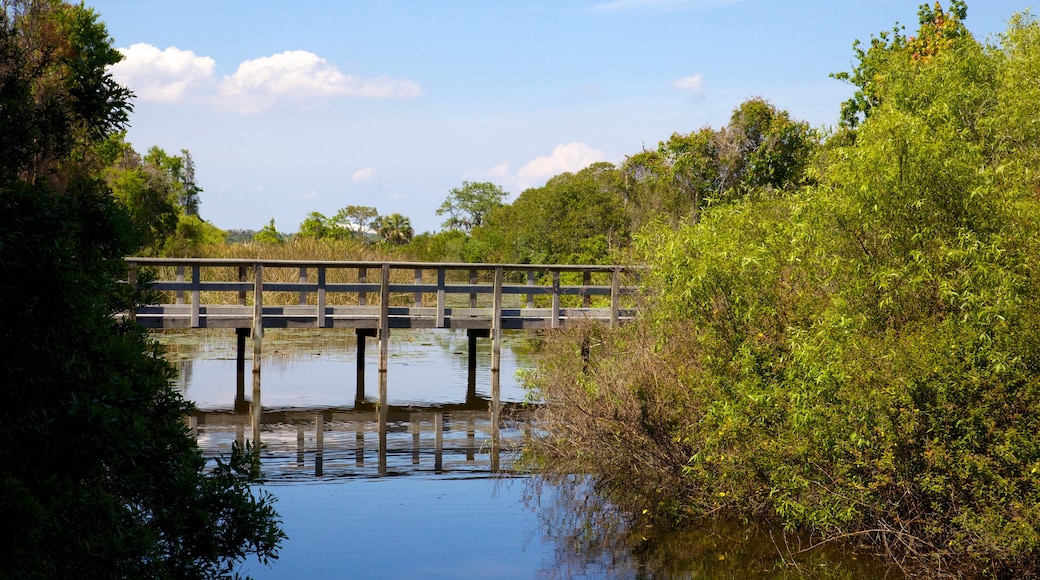 Boyd Hill Nature Park qui includes rivière ou ruisseau, parc et pont