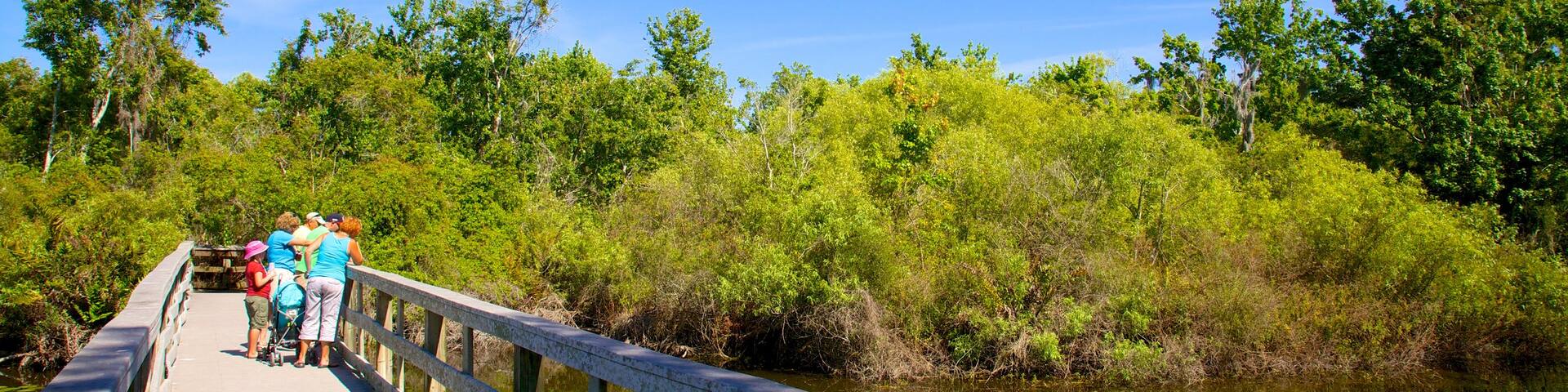 Boyd Hill Nature Park que incluye un puente, un lago o abrevadero y un parque
