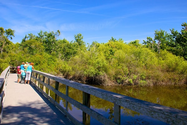 Boyd Hill Nature Park das einen Brücke, Park und See oder Wasserstelle
