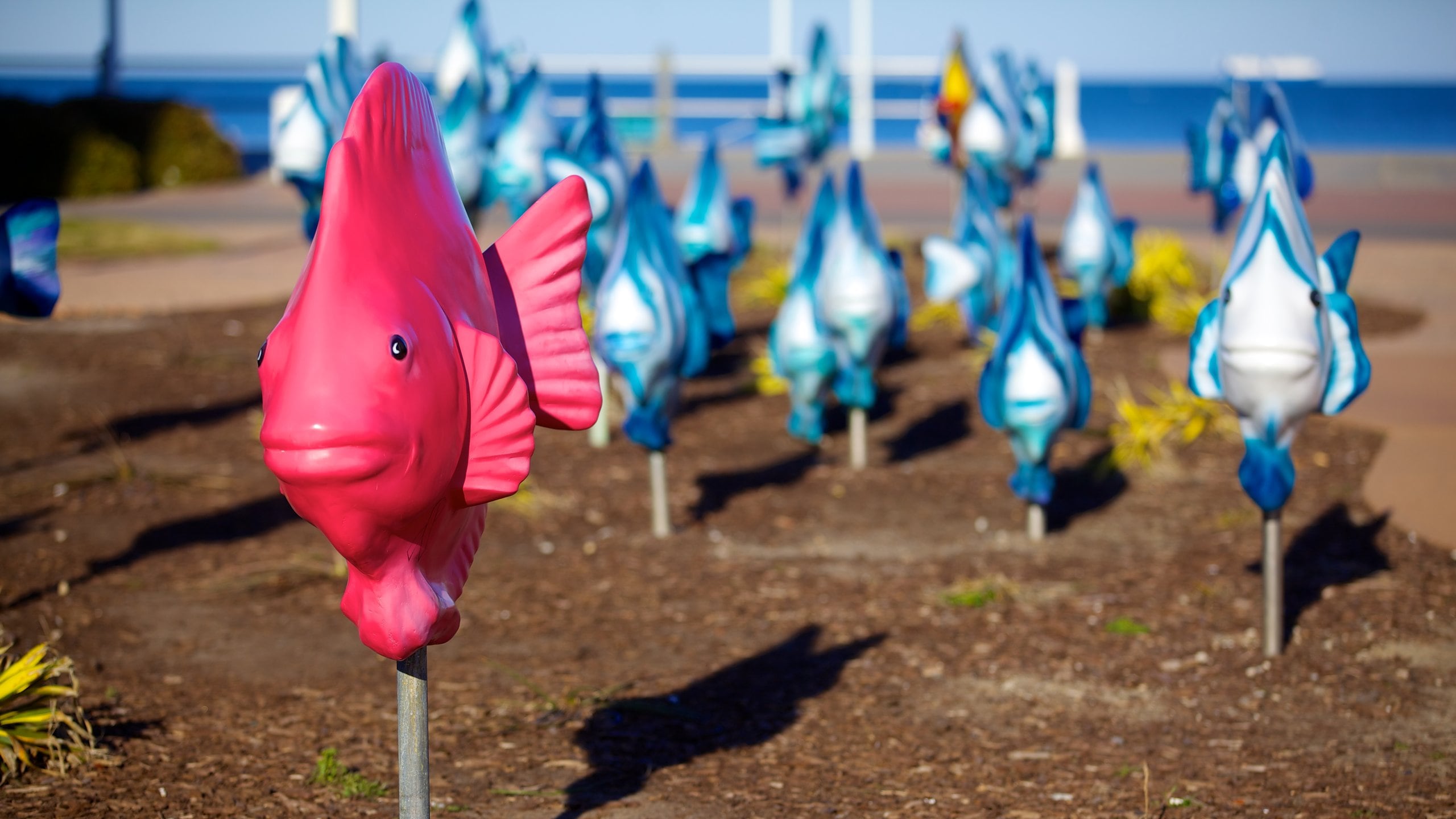 Virginia Beach das einen allgemeine Küstenansicht und Strand