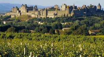 Carcassonne which includes landscape views, château or palace and heritage architecture