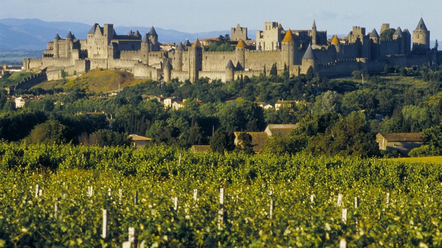 Carcassonne som omfatter udsigt over landskaber, slot eller palads og historiske bygningsværker