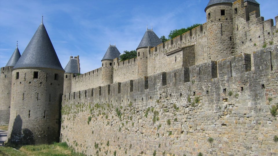 Carcassonne which includes a castle and heritage architecture