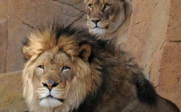 Visit Brookfield: 2022 Travel Guide for Brookfield, Chicago ...