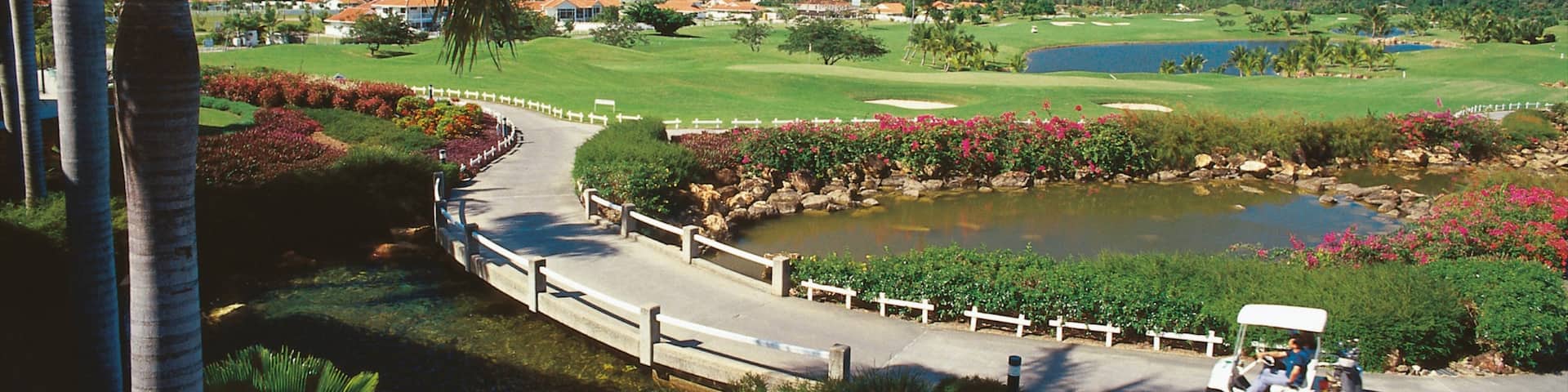 Clifton Beach which includes a park and tropical scenes