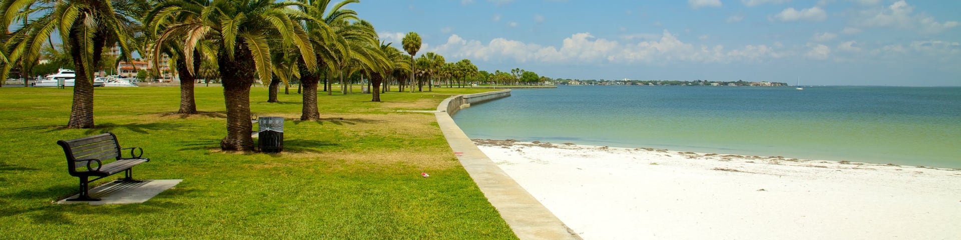 St. Petersburg - Clearwater montrant scĂšnes tropicales