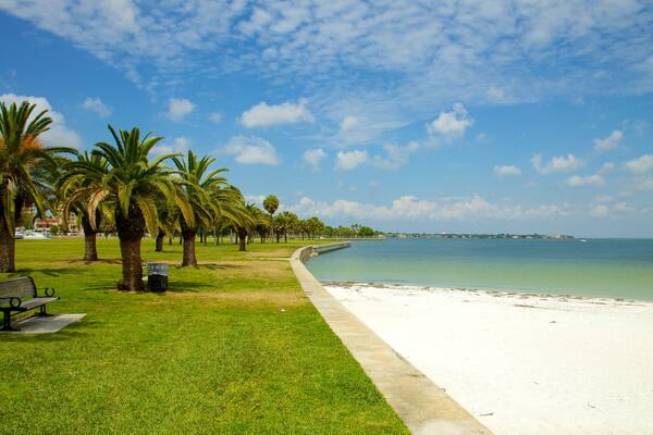 St. Petersburg - Clearwater showing tropical scenes