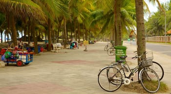 Cua Dai Beach which includes street scenes and tropical scenes