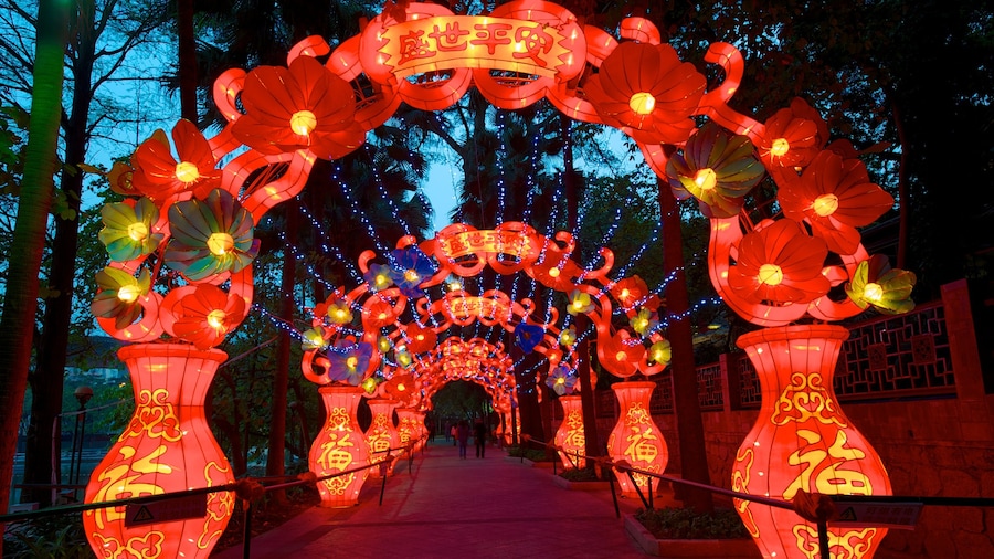 Yuexiu Gongyuan mostrando arte al aire libre, escenas nocturnas y un parque