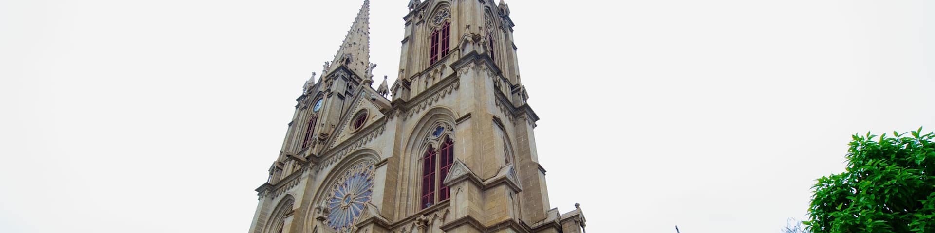 Catedral del Sagrado Corazón mostrando una ciudad, aspectos religiosos y una iglesia o catedral
