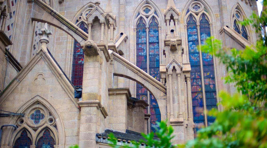 Catedral del Sagrado Corazón mostrando patrimonio de arquitectura, una iglesia o catedral y elementos religiosos