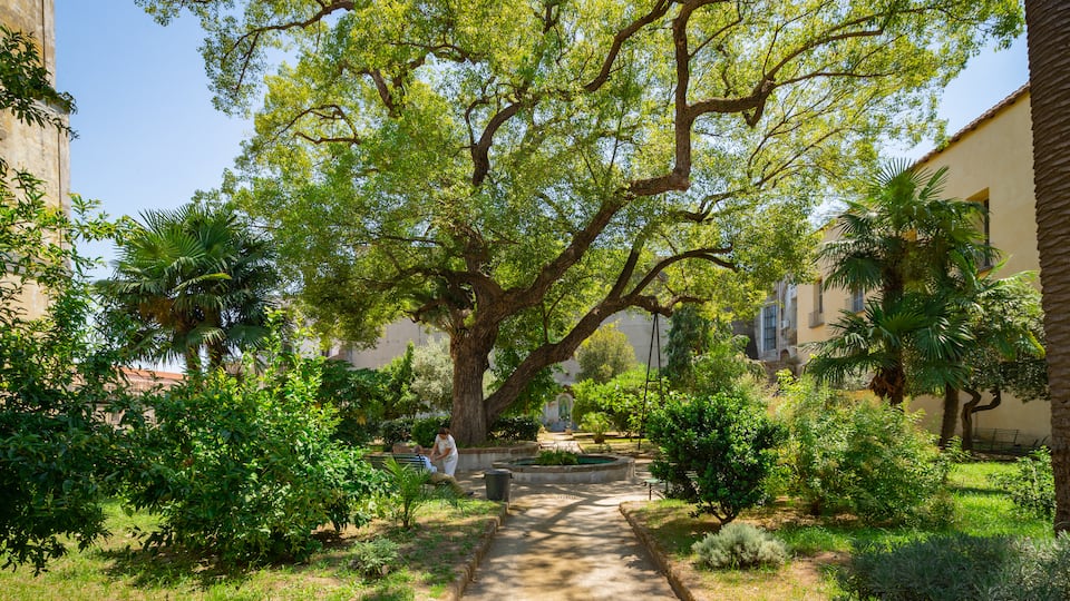 Museo delle Arti Sanitarie e Di Storia della Medicina which includes a park
