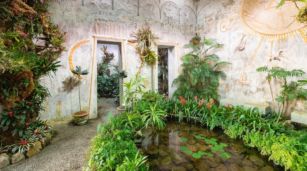 莫特拉花園