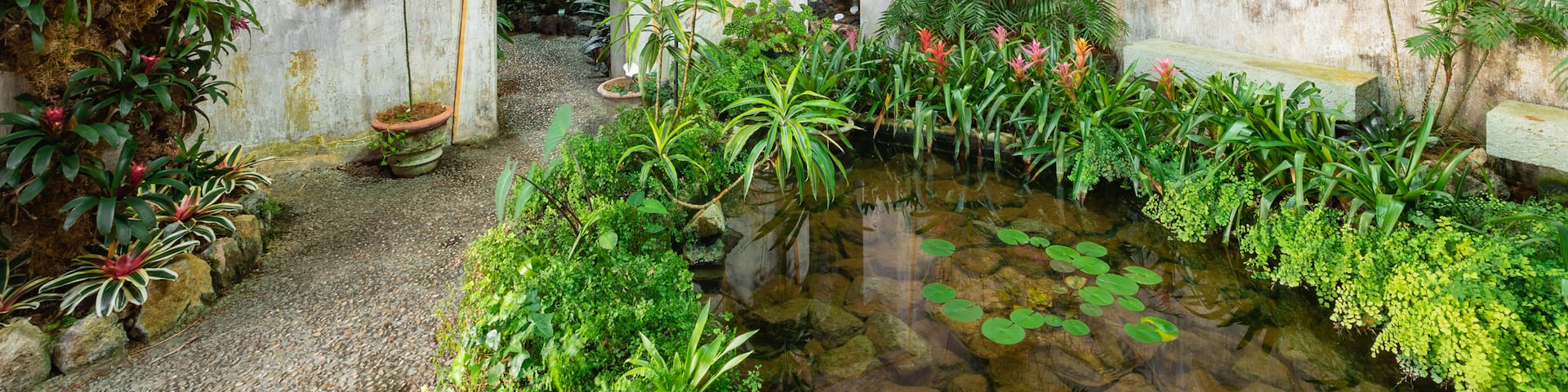 Giardini la Mortella showing heritage elements, a garden and a pond