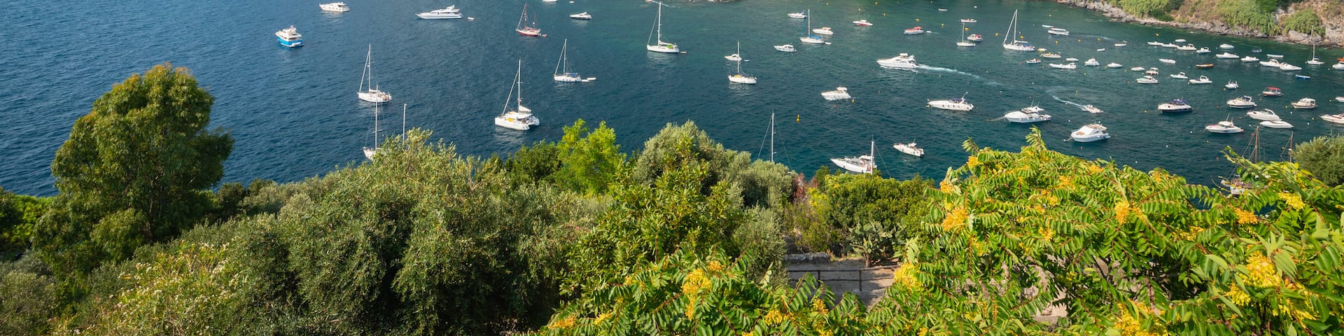 Ischia Ponte which includes general coastal views, a coastal town and landscape views