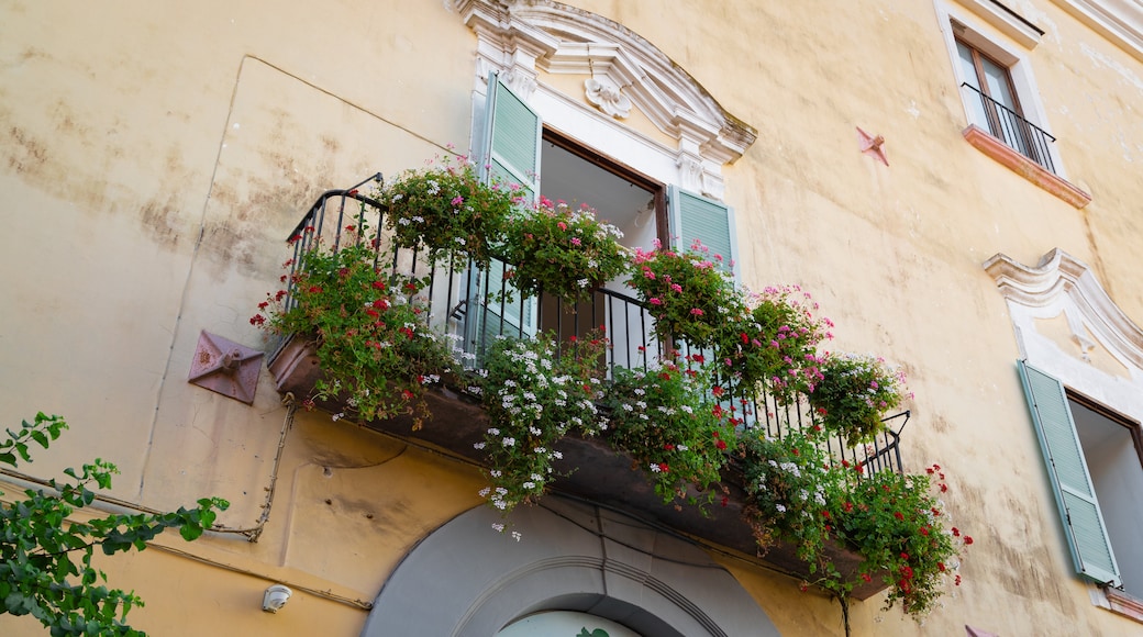 Museo Diocesano