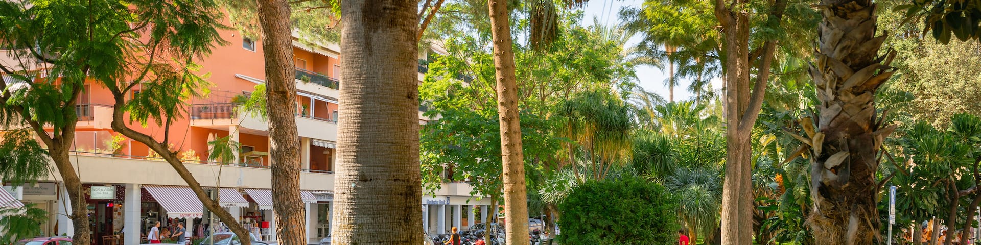 Piazza Lauro featuring a garden