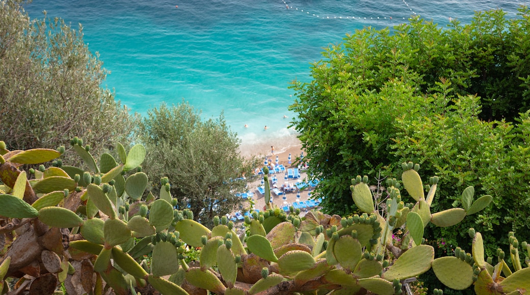 Stadtzentrum von Positano