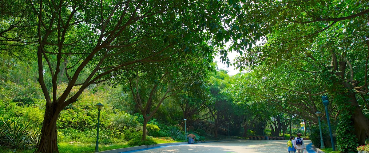 Chimelong Paradise