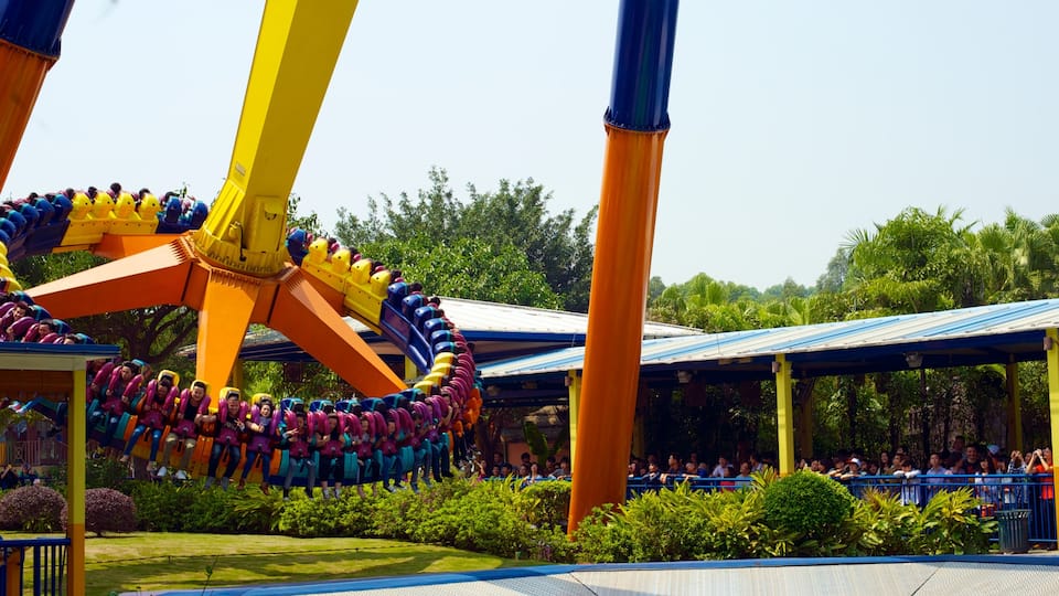 Chimelong Paradise mostrando paseos y un parque