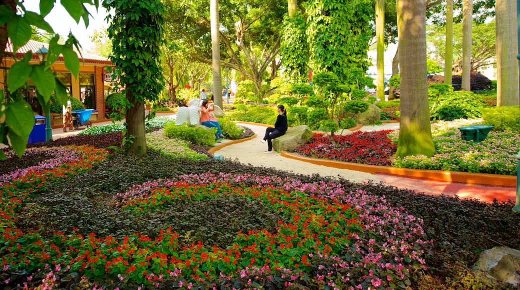 Chimelong Paradise showing a garden and flowers