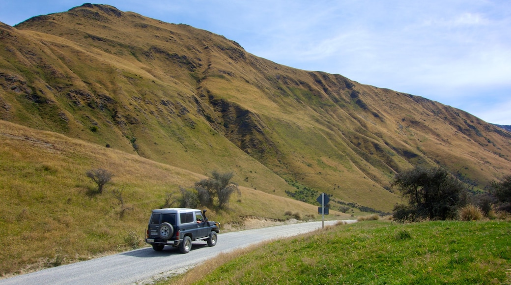 Moke Lake which includes tranquil scenes and off road driving