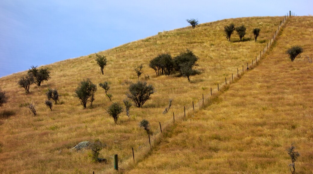 Queenstown caracterizando paisagem e cenas tranquilas