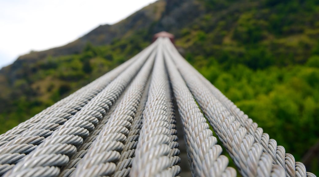 Kawarau-hangbrug toont een hangbrug of boomtoppenpad