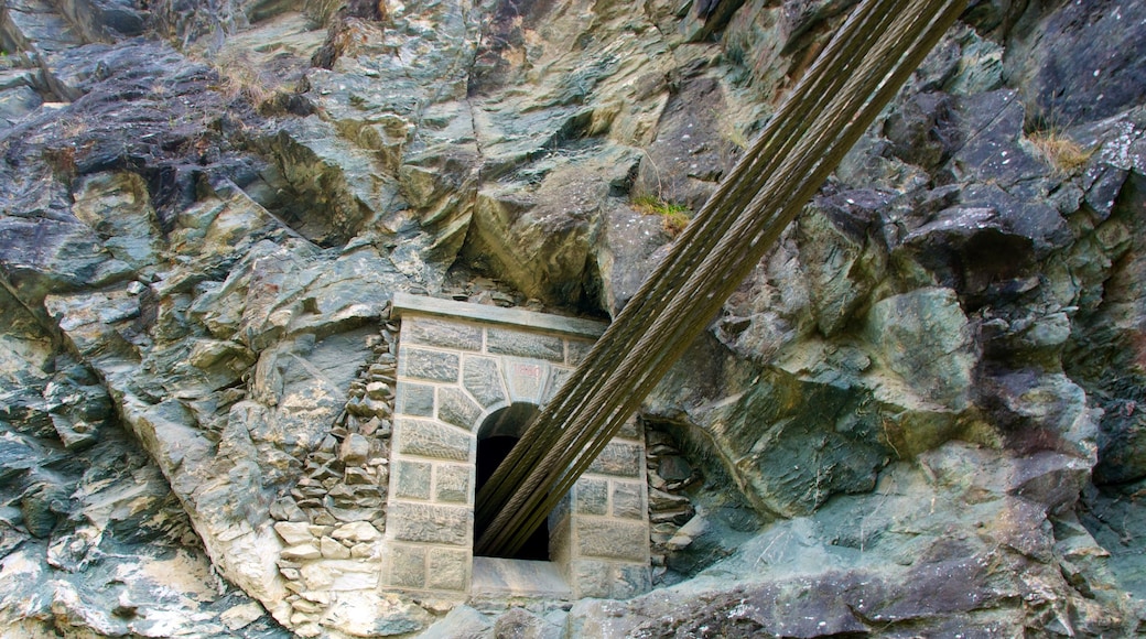 Kawarau Suspension Bridge featuring a suspension bridge or treetop walkway