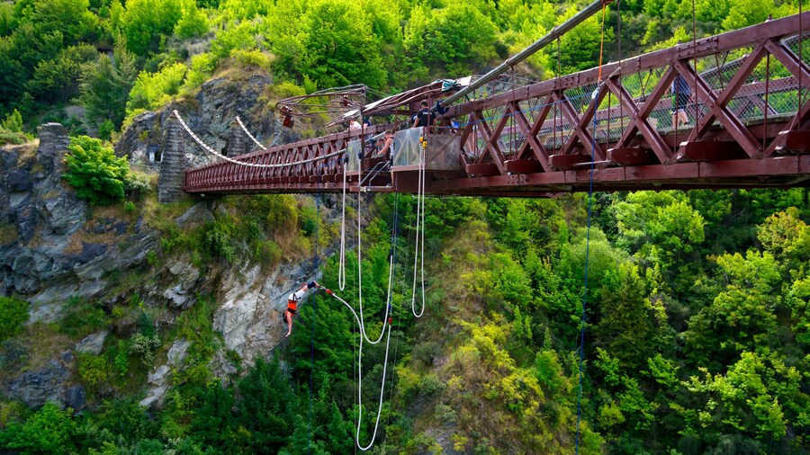 Kawarau Suspension Bridge showing a suspension bridge or treetop walkway and bungee jumping