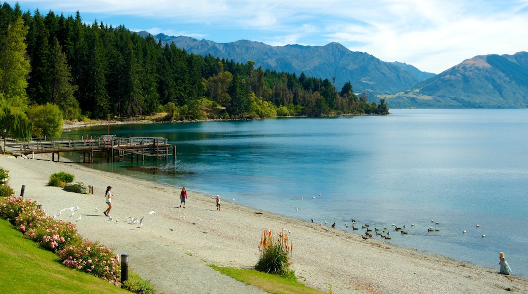 Walter Peak High Country Farm som inkluderar en sandstrand