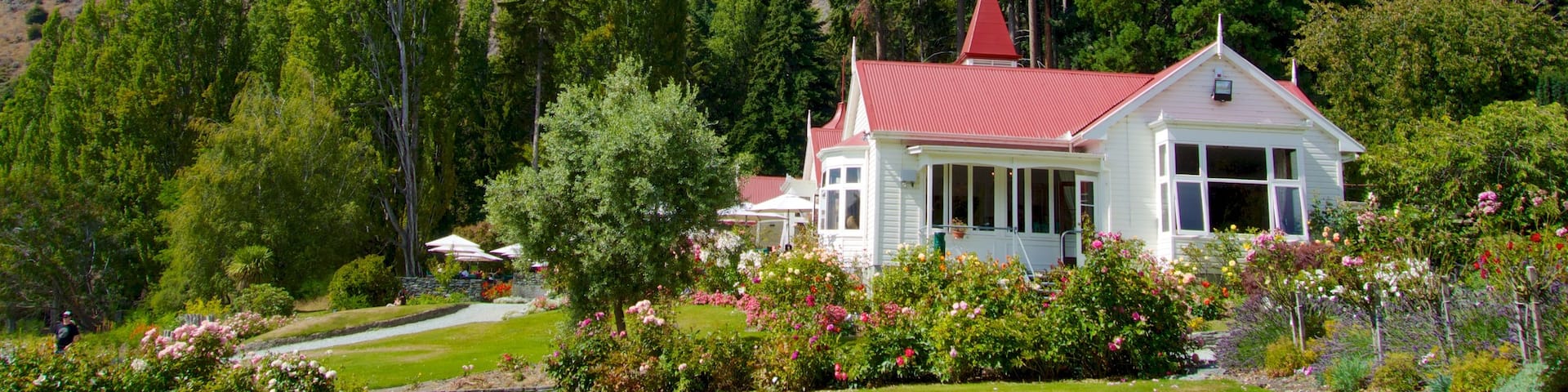 Walter Peak High Country Farm showing tranquil scenes