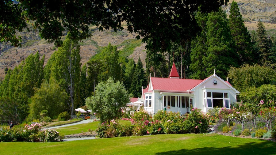 Walter Peak High Country Farm showing tranquil scenes