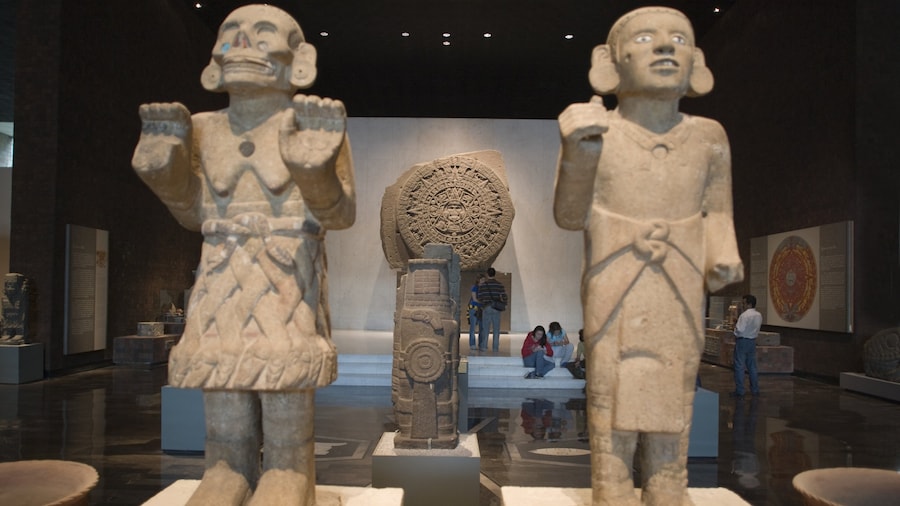 Museo Nacional de Antropología welches beinhaltet Innenansichten und Kunst