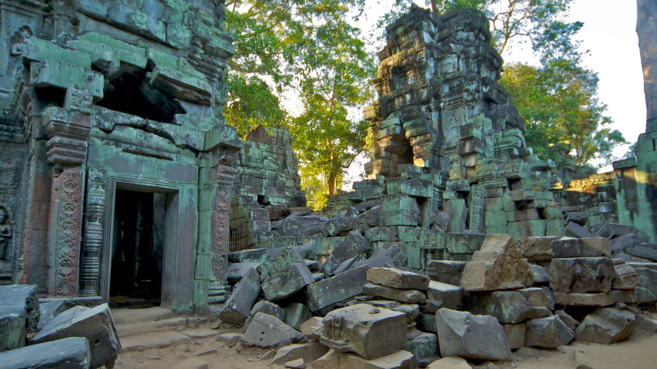 タ プローム寺院 シェムリアップ エクスペディア