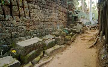 タ プローム寺院 シェムリアップ エクスペディア タ プローム寺院 シェムリアップ エクスペディア