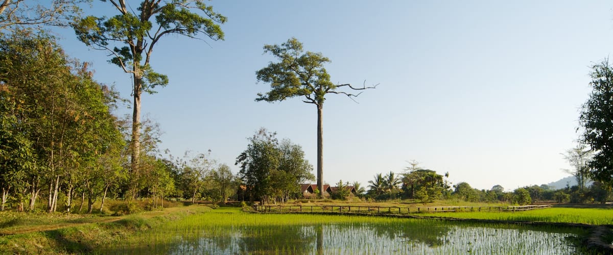 Siem Reap featuring landscape views, wetlands and tranquil scenes