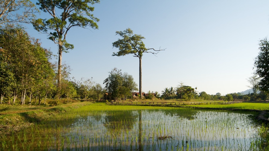 Siem Reap das einen Landschaften, Park und ruhige Szenerie